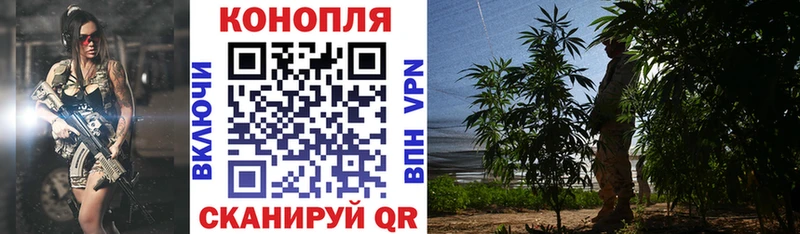 Купить наркотики Курильск Марихуана  Псилоцибиновые грибы  Alpha PVP  Гашиш  Мефедрон 