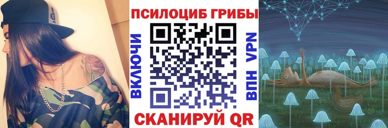 Псилоцибиновые грибы ЛСД  Курильск 
